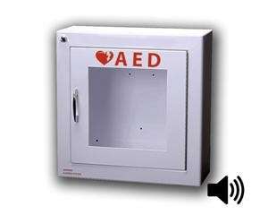 Standard AED Wall Cabinet with Alarm